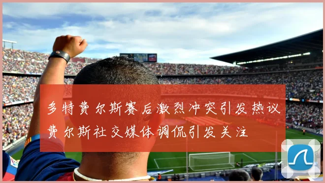 多特费尔斯赛后激烈冲突引发热议费尔斯社交媒体调侃引发关注