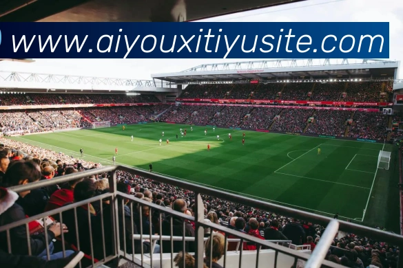 爱游戏体育发展历程